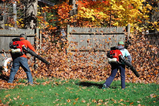 Fall Cleanups - Lawn Mowing Service and Tree Care in Connecticut | KB ...