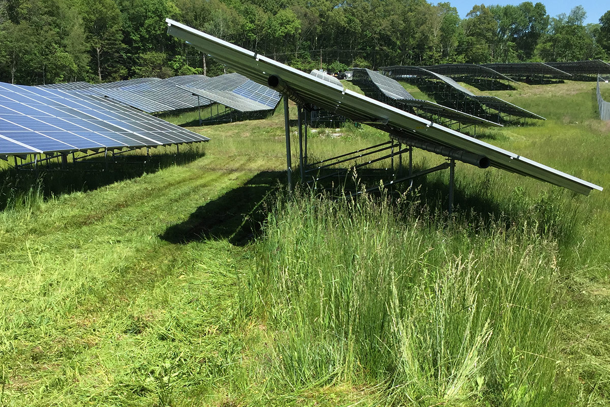 Solar Farm Lawn Mowing Lawn Mowing Service and Tree Care in Connecticut KB Lawn and Tree